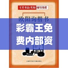 彩霸王免費內部資料,科學分析嚴謹解釋_見證版XDT42.256