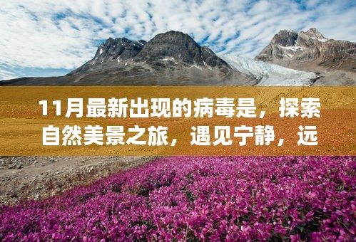 11月病毒來襲之際，自然美景之旅，尋找心靈寧靜的避風港