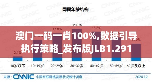 澳門一碼一肖100%,數據引導執行策略_發布版JLB1.291