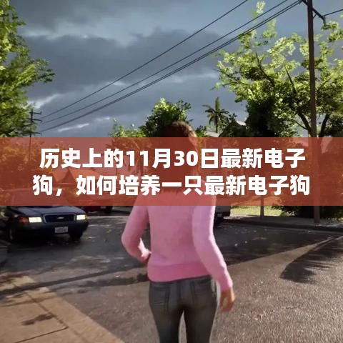 歷史上的11月30日，最新電子狗的培養指南與詳細指南解析
