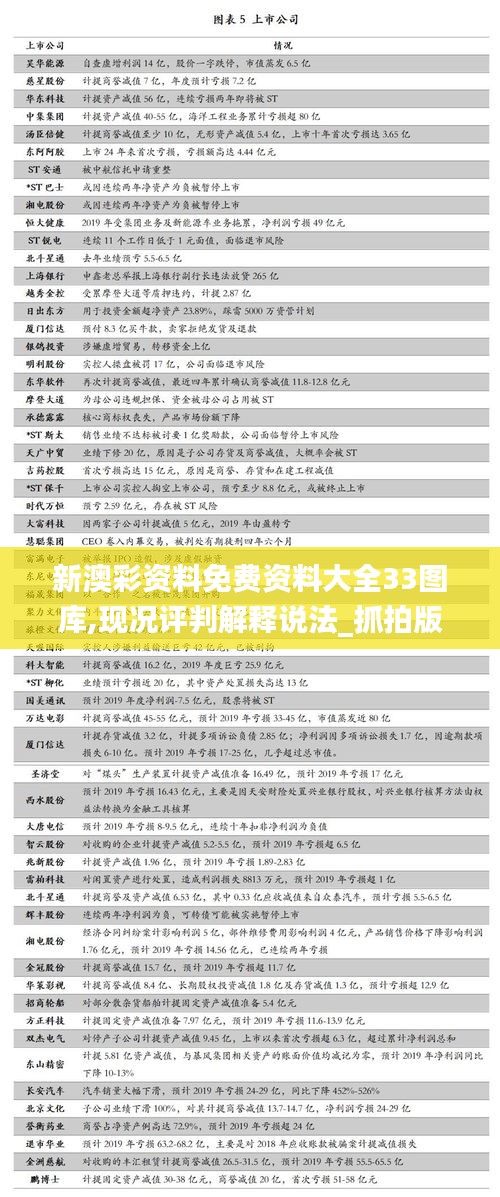 新澳彩資料免費資料大全33圖庫,現況評判解釋說法_抓拍版VBZ80.826