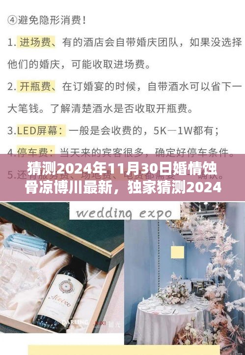 獨家揭秘,深度解析博川婚情蝕骨現象,預測未來情感走向內幕曝光!