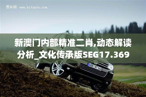 新澳門內部精準二肖,動態解讀分析_文化傳承版SEG17.369