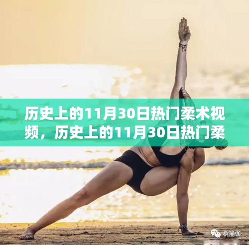 歷史上的柔術視頻回顧,熱門柔術視頻深度評測與介紹(11月30日篇)