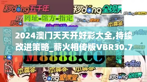 2024澳門天天開好彩大全,持續(xù)改進(jìn)策略_薪火相傳版VBR30.789