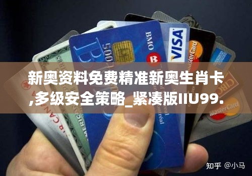 新奧資料免費精準新奧生肖卡,多級安全策略_緊湊版IIU99.560