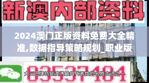 2024澳門正版資料免費大全精準,數據指導策略規劃_職業版RQC48.767