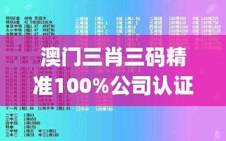 澳門三肖三碼精準100%公司認證,即時解答解析分析_創意版UEG28.925