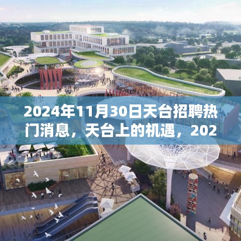 2024年11月30日天臺招聘熱門消息，探尋天臺上的職業機遇