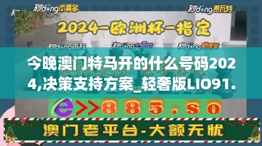 今晚澳門特馬開的什么號碼2024,決策支持方案_輕奢版LIO91.828