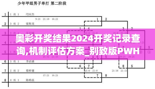奧彩開獎結(jié)果2024開獎記錄查詢,機制評估方案_別致版PWH76.654