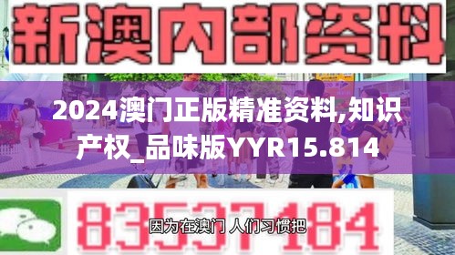2024澳門正版精準資料,知識產權_品味版YYR15.814
