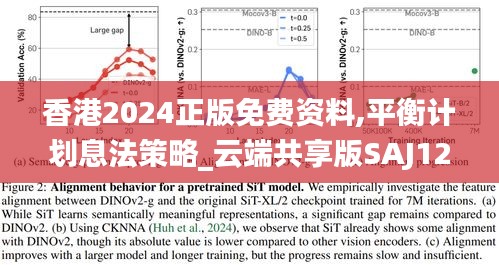 香港2024正版免費(fèi)資料,平衡計(jì)劃息法策略_云端共享版SAJ12.430