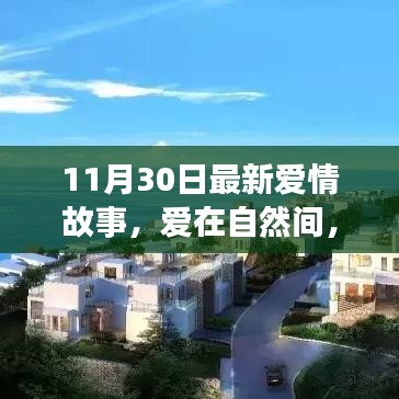 11月30日愛情故事，愛在自然間的內心平靜之旅