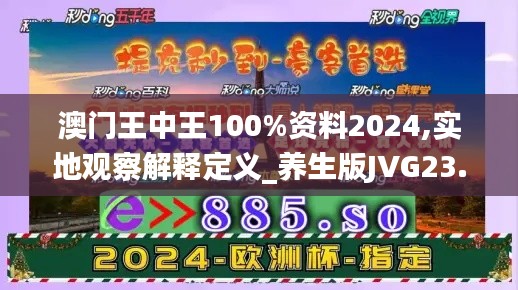 澳門王中王100%資料2024,實地觀察解釋定義_養(yǎng)生版JVG23.246