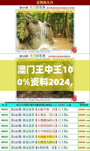 澳門王中王100%資料2024,實地觀察解釋定義_養(yǎng)生版JVG23.246
