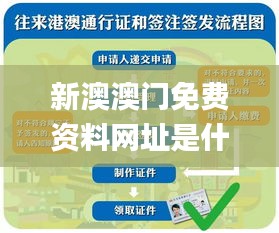 新澳澳門免費資料網址是什么,實地驗證研究方案_親和版XWD45.381
