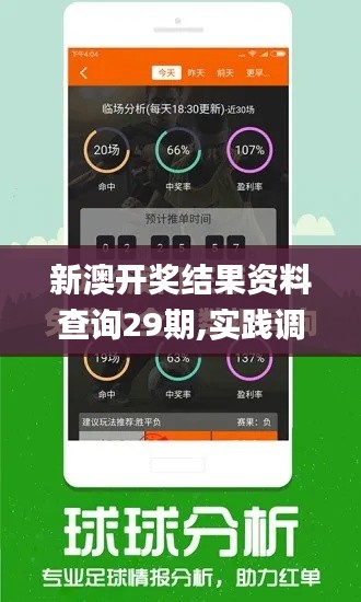 新澳開獎結果資料查詢29期,實踐調查說明_商務版AIK9.225
