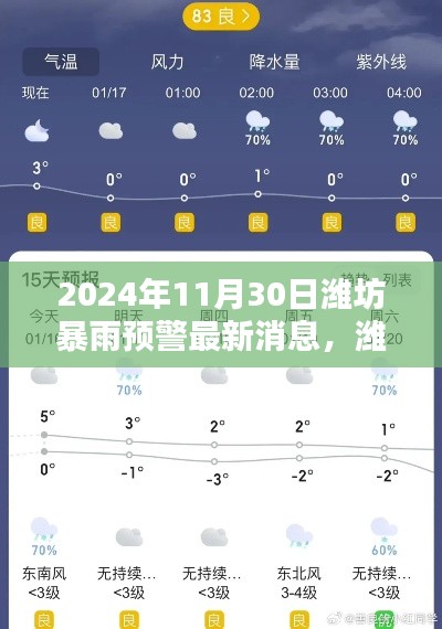 濰坊暴雨預警新紀元,智能預警系統革新體驗及最新消息(2024年11月30日)