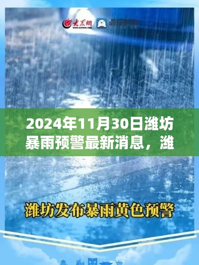 濰坊暴雨預警新紀元,智能預警系統革新體驗及最新消息(2024年11月30日)