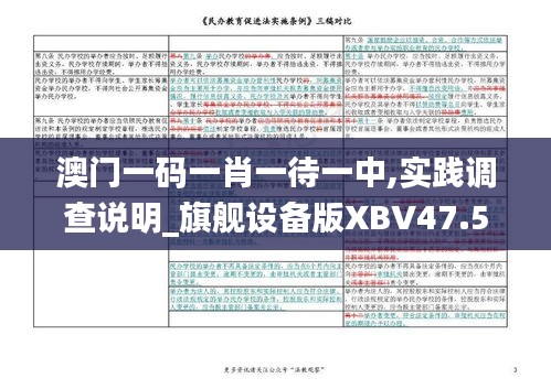 澳門一碼一肖一待一中,實踐調查說明_旗艦設備版XBV47.508