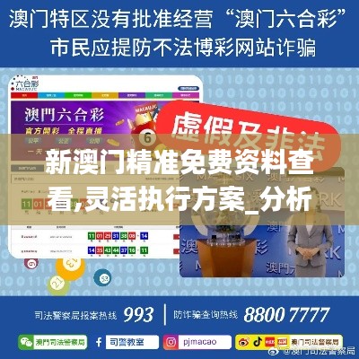 新澳門精準免費資料查看,靈活執行方案_分析版LQN72.659