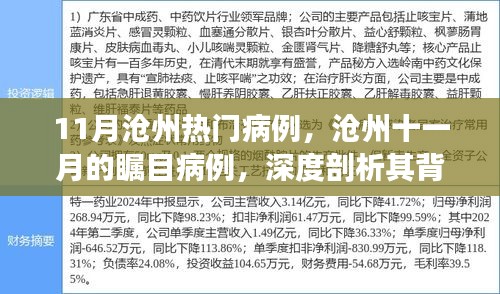 滄州十一月矚目病例深度解析,背景、進展與影響探究