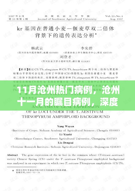 滄州十一月矚目病例深度解析,背景、進展與影響探究