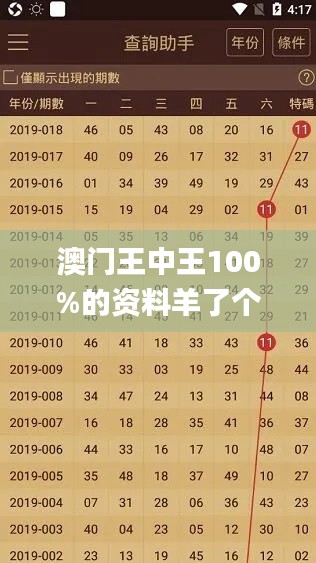 澳門王中王100%的資料羊了個羊,即時解答解析分析_響應版JXQ17.238