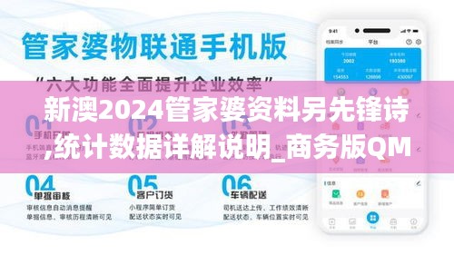 新澳2024管家婆資料另先鋒詩,統計數據詳解說明_商務版QMQ4.526