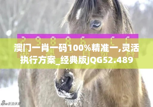 澳門一肖一碼100%精準一,靈活執行方案_經典版JQG52.489