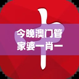 今晚澳門管家婆一肖一碼,詳情執行數據安援_豐富版EBM90.473