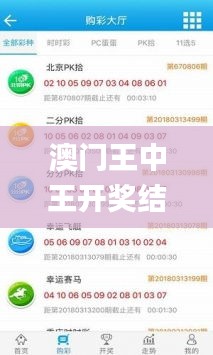 澳門王中王開獎結果一下子,快速解決方式指南_零障礙版YEJ23.348