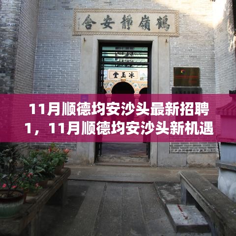 11月順德均安沙頭最新招聘啟航，職場新征程，學習變革與自信成長的機會