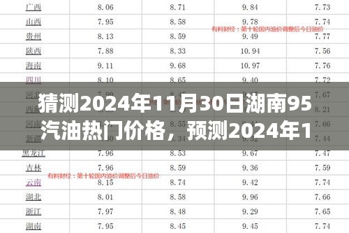 2024年11月30日湖南市場(chǎng)95號(hào)汽油熱門價(jià)格預(yù)測(cè)及分析
