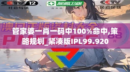 管家婆一肖一碼中100%命中,策略規(guī)劃_緊湊版IPL99.920