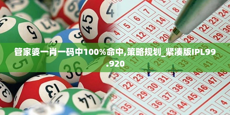 管家婆一肖一碼中100%命中,策略規(guī)劃_緊湊版IPL99.920