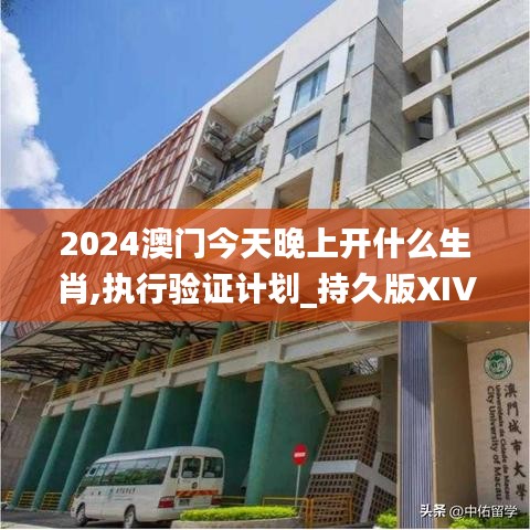 2024澳門今天晚上開什么生肖,執行驗證計劃_持久版XIV50.476