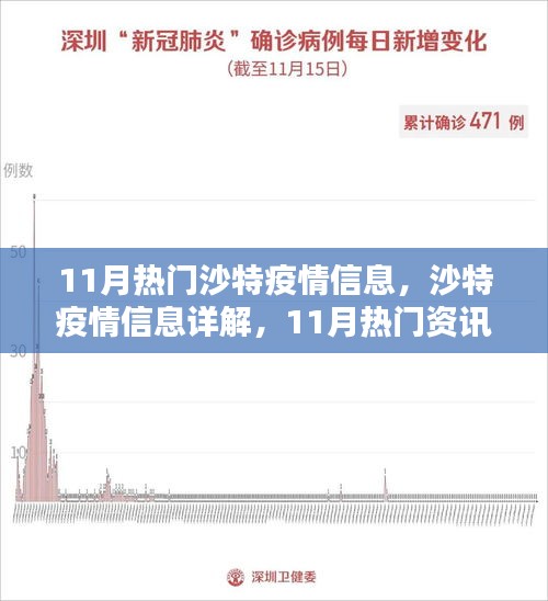 沙特疫情11月詳解，從入門到進(jìn)階的全方位指南