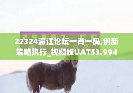 22324濠江論壇一肖一碼,創(chuàng)新策略執(zhí)行_視頻版UAT53.994