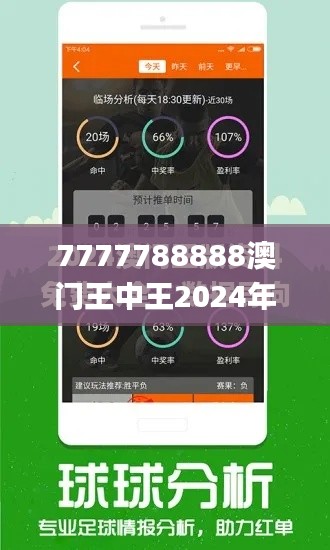 7777788888澳門王中王2024年,專業調查具體解析_安全版DHQ26.873