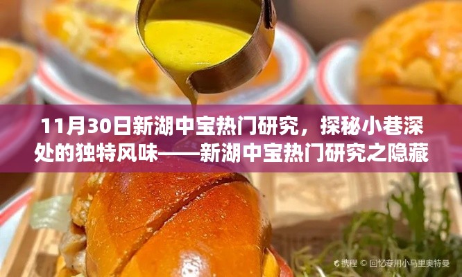 探秘新湖中寶隱藏美食,小巷深處的獨特風味之旅