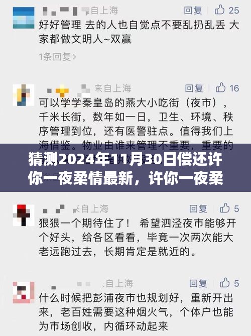 許你一夜柔情，深度評測、特性體驗、競品對比及用戶群體分析