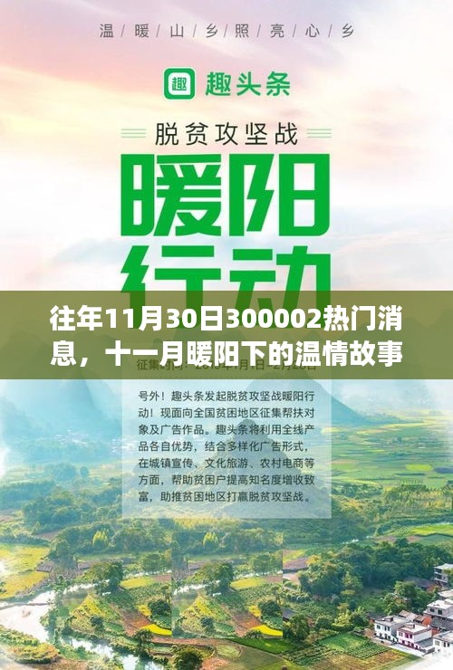 十一月暖陽下的溫情故事，揭秘300002熱門消息的溫馨日常揭秘