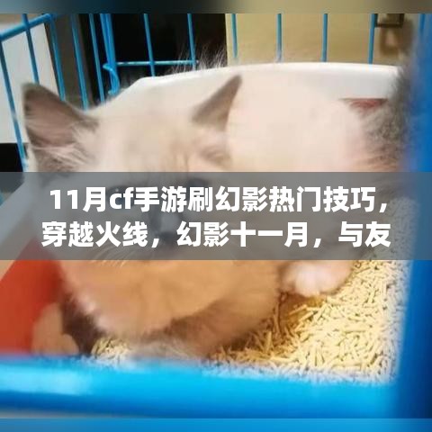 穿越火線幻影十一月,熱門技巧揭秘,與戰友共戰的日子