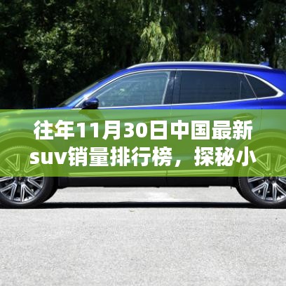 揭秘隱藏寶藏,往年11月30日中國(guó)最新SUV銷量排行榜中的獨(dú)特小店探秘之旅