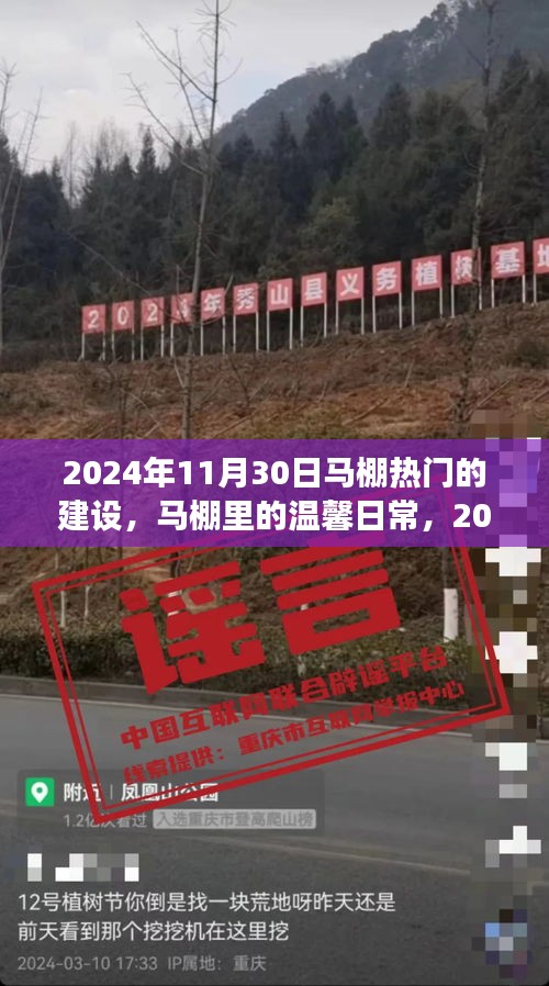 馬棚溫馨日常與熱鬧建設之旅,2024年11月30日的記錄