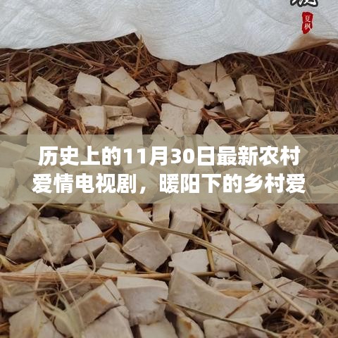 暖陽下的鄉(xiāng)村愛情,十一月三十日的甜蜜日常