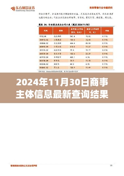 2024年11月30日商事主體信息最新查詢結果深度解讀與評測報告