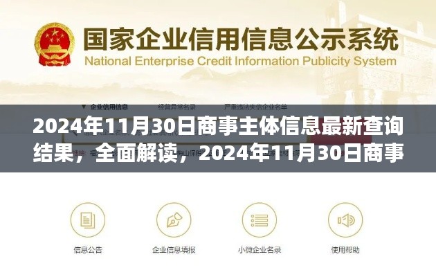 2024年11月30日商事主體信息最新查詢結果深度解讀與評測報告